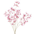 Blomsterstilk, rosa/gull, 138 cm