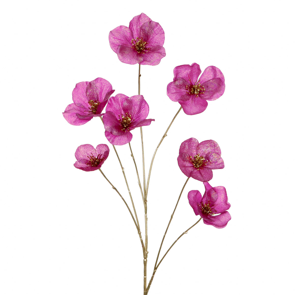 Vintergjøk-blomsterstilk, knallrosa/gull, 110 cm